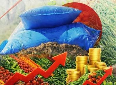 ارتفاع أسعار الأسمدة في مصر