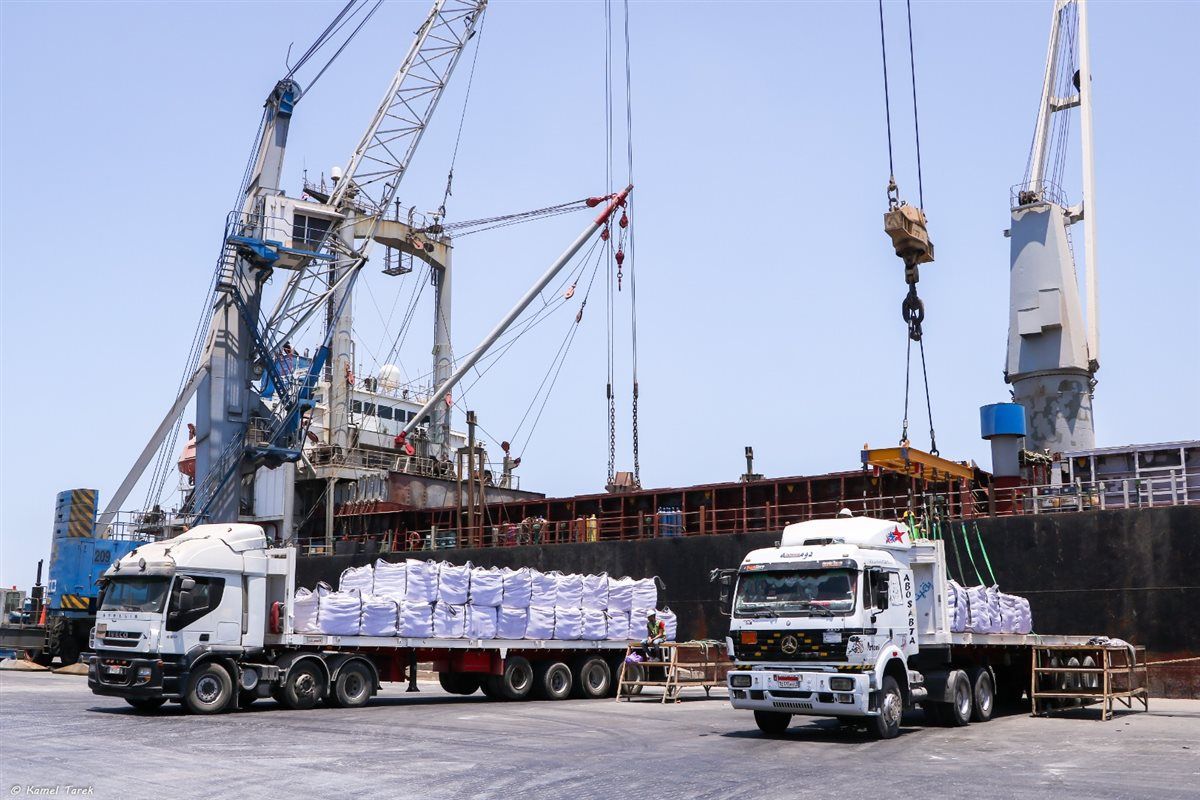 2cbf402d3a.jpg