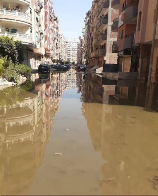 جانب من الأعمال، فيتو