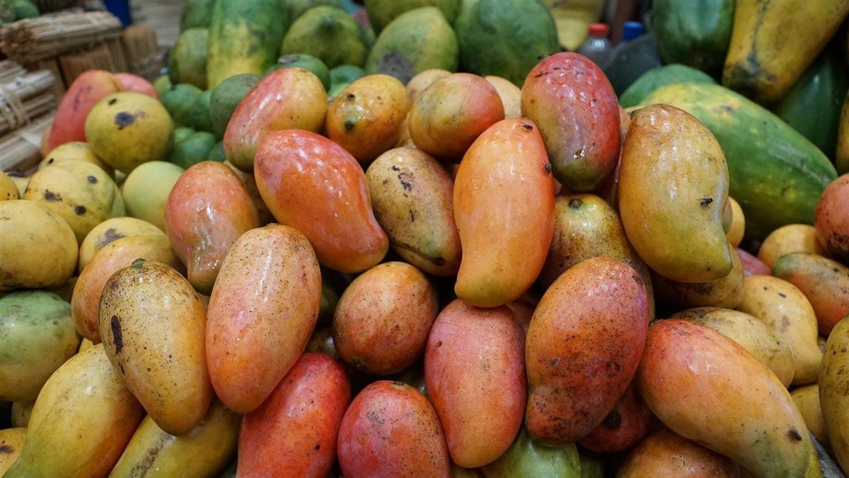 أسعار المانجو اليوم في الأسواق، فيتو
