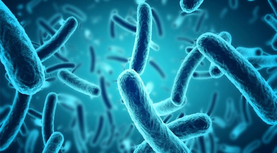 علامات تدل على وجود اضطراب بالبكتيريا النافعة فى الأمعاء 