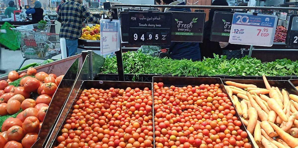 اسعار الطماطم اليوم، فيتو