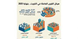 3.21 ملايين إجمالي القوى العاملة في البلاد.. من بينهم 462.538 ألف مواطن ومواطنة