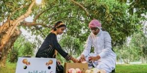 مزارع «رمان الباحة».. إنتاج وفير وفرص تسويق واعدة