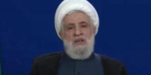 نعيم قاسم يؤكد أن لبنان يواجه عدوا إسرائيليا يطمح للتوسع