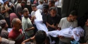 باميه: قتلى أطفال غزة فى 4 أشهر يفوق ضحايا نزاعات أخر أربع سنوات