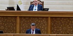 تزامنا مع إقرارها اليوم، كيف يصوت مجلس النواب على الموازنة الجديدة؟