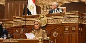مجلس الشيوخ: قانون الشركات الحالي لا يواكب التحول الرقمي ومتطلبات السوق