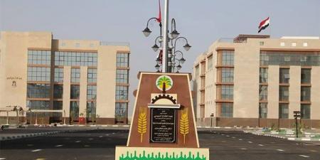 بعد شكاوى المواطنين، محافظة الوادي الجديد تحسم موقف تراخيص اللافتات الإعلانية بشارع موط