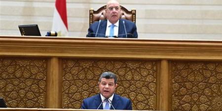 الحكومة ردا على انتقادات النواب: ملتزمون بالدستور بشكل كامل