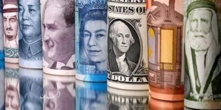 أسعار العملات العربية والأجنبية مقابل الجنيه في البنك الأهلي