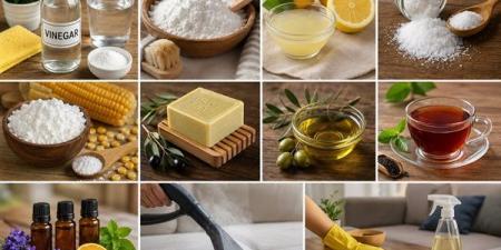 مواد من الطبيعة لتنظيف الأثاث والمفروشات بدلًا من المنظفات الجاهزة