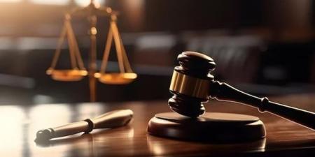 حبس مذيع عامين في قضية شيك بدون رصيد