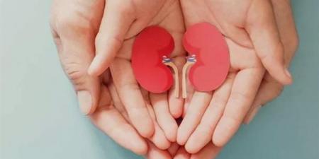 لأول مرة، السعودية تحدد 12 مايو من كل عام يوما وطنيا للتبرع بالأعضاء