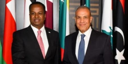وزير الخارجية يطالب نظيره الصومالى ببذل كافة الجهود للإفراج عن المصريين المحتجزين
