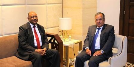 نبيل فهمي يستقبل وزير خارجية السودان على هامش أعمال الدورة الوزارية الـ 166
