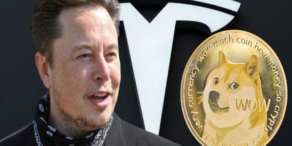 تيسلا
ستقبل
بالدفع
عن
طريق
عمل
Dogecoin
الإلكترونية