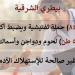 بيطري الشرقية ينفذ 84 حملة تفتيشية ويضبط 5 أطنان لحوم فاسدة