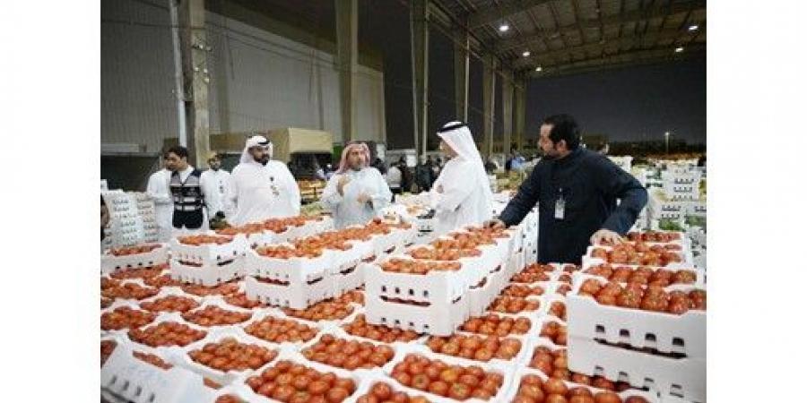 وزير التجارة: من المتوقع وصول حجم الإنتاج المحلي من الطماطم إلى 350 طناً يومياً