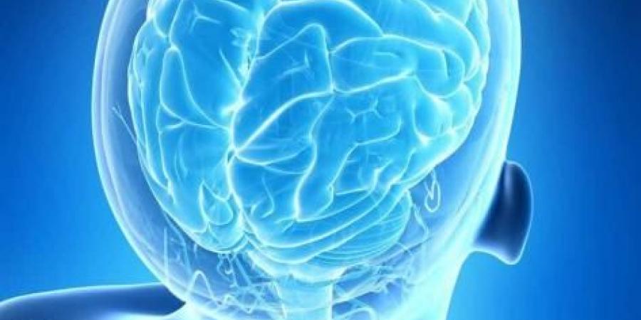 تطوير أول أطلس وظيفي لخرائط الدماغ البشري