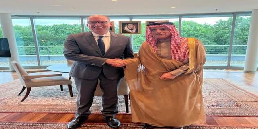 لقاء سعودي ألماني لبحث التطورات الإقليمية والدولية
