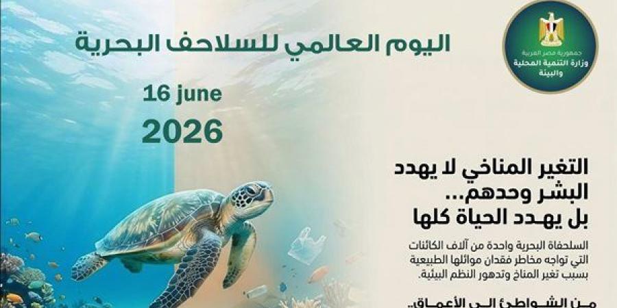 وزيرة البيئة: حماية السلاحف البحرية ضرورة للحفاظ على التنوع البيولوجي