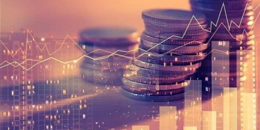 قانون الاستثمار، ضوابط يجب مراعاتها في الخريطة الاستثمارية