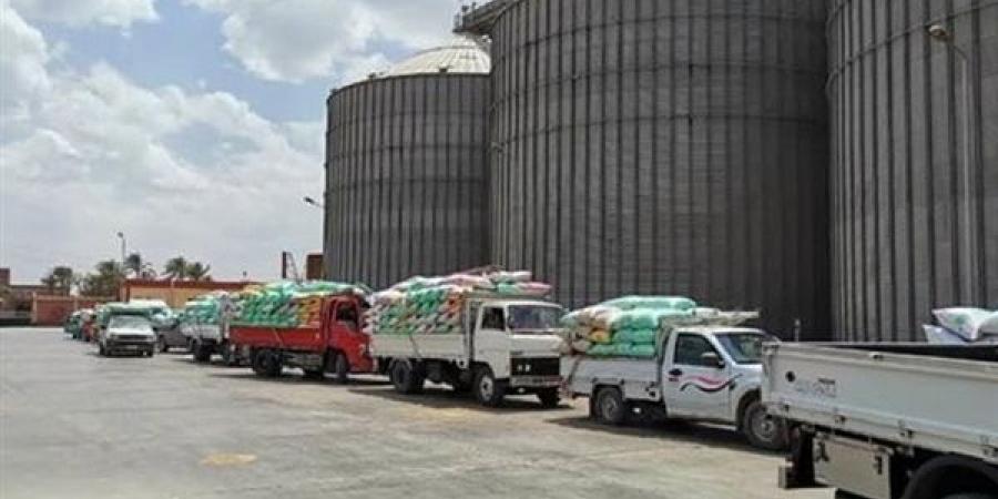 زراعة بني سويف: توريد 346 ألف طن قمح للشون والصوامع
