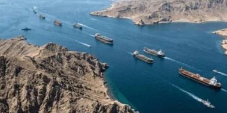 كوريا الجنوبية تعلن عبور سفينتين من مضيق هرمز بنجاح