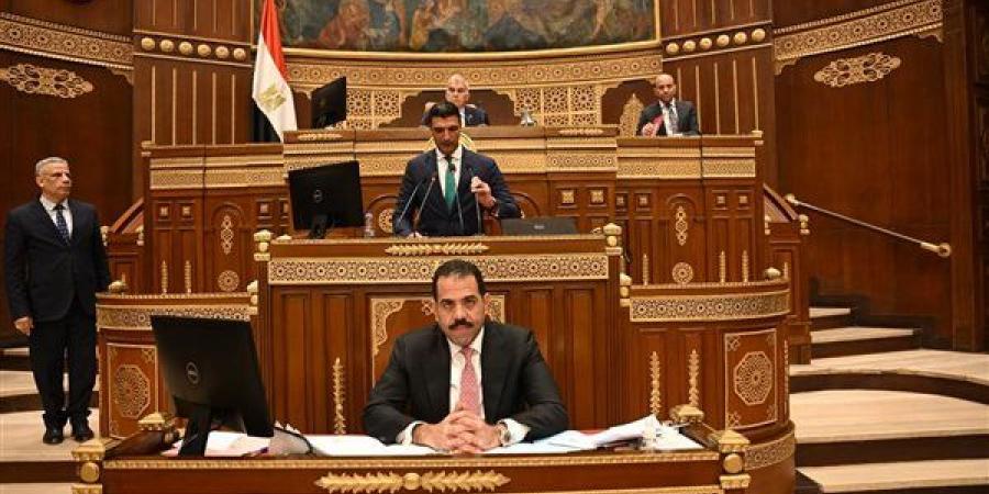 وزير الصناعة أمام الشيوخ: القطاع على رأس أولويات التنمية في المرحلة الحالية