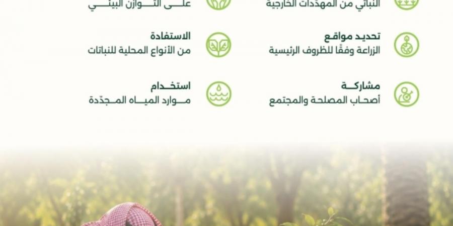 6 مبادئ رئيسة لاستدامة عمليات التشجير وتغيير النظام البيئي في المملكة