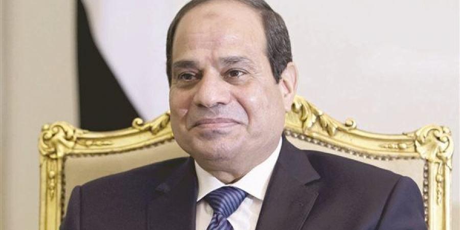 السيسي: ثورة 30 يونيو جسدت إرادة المصريين للحفاظ على هوية الدولة واستعادة مسارها الصحيح