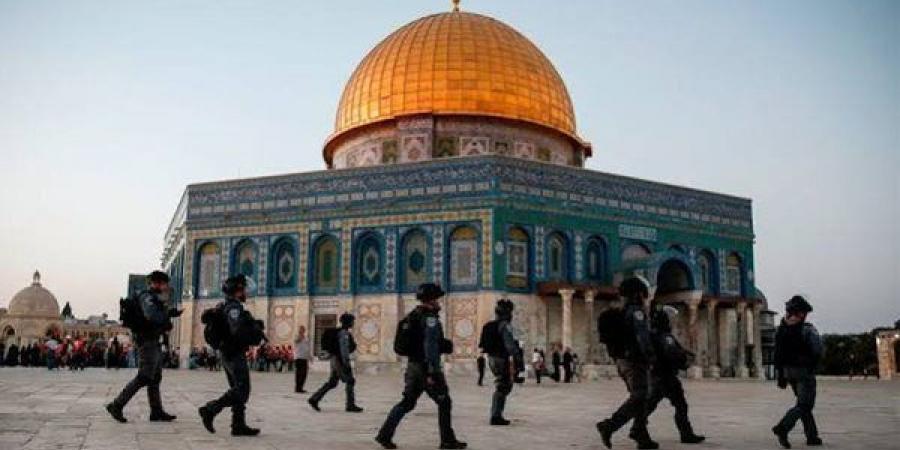 اللجنة الملكية لشئون القدس تحذر: 542 مستوطنة وبؤرة استيطانية تهدد الوجود الفلسطينى