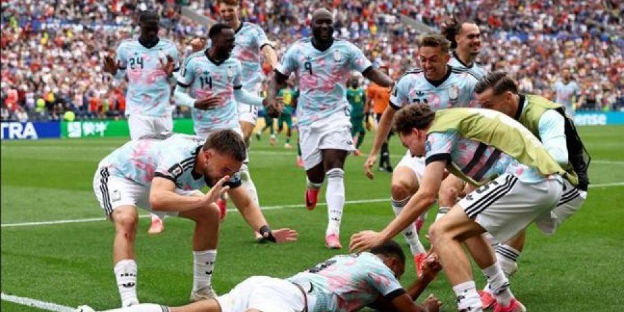 مدرب بلجيكا: لا يمكنك تحقيق النتائج بأحد عشر لاعبًا فقط والسنغال أخطأت بعد التقدم بثنائية