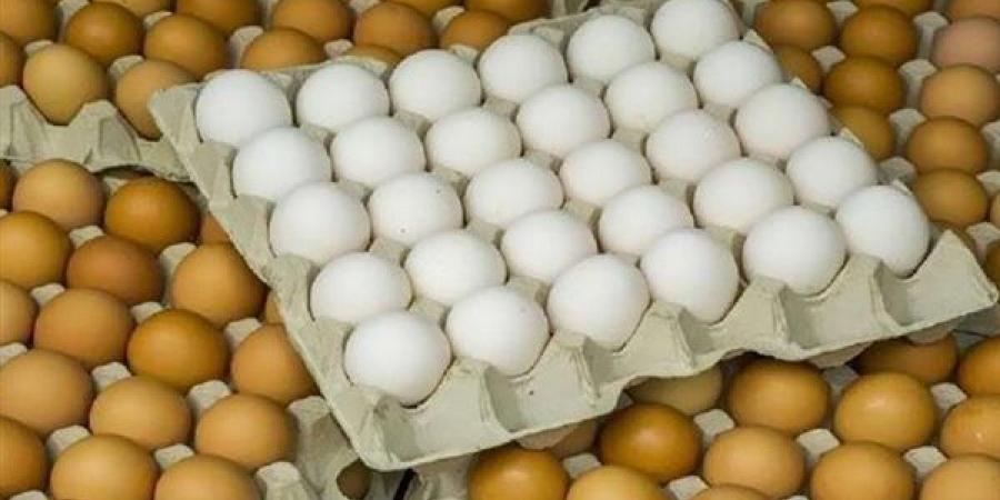 سعر كرتونة البيض اليوم الأحد في بورصة الدواجن