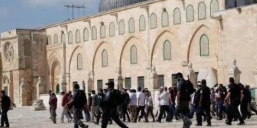133 مستوطنًا يقتحمون المسجد الأقصى بحماية شرطة الاحتلال الإسرائيلي