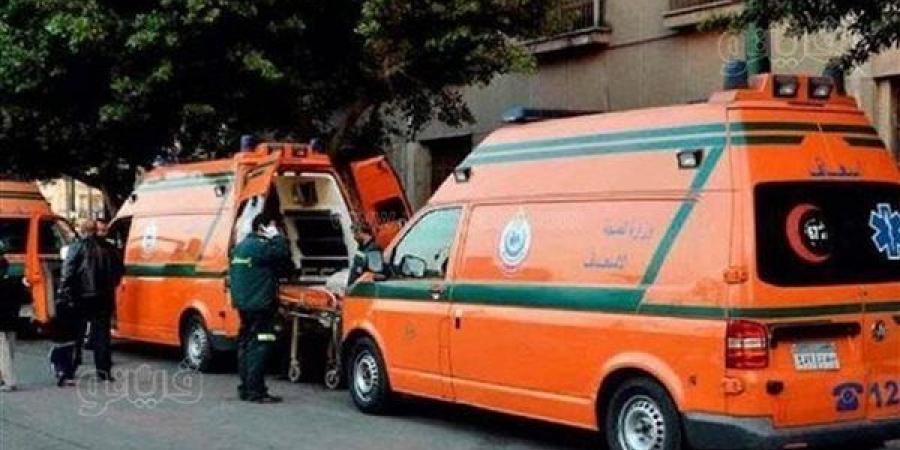 مصرع شخص وإصابة طالب طب بيطري في تصادم دراجة نارية وربع نقل بجمصة
