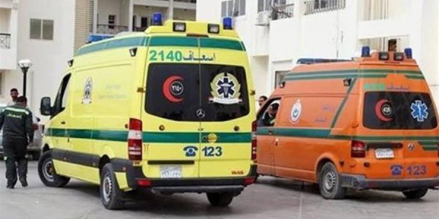 إصابة شخص وطفل بحادث سير بفرشوط في قنا