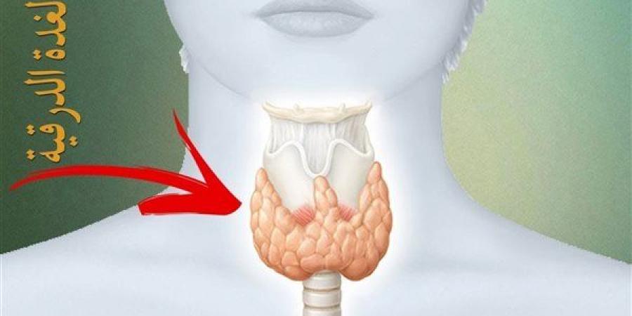 علامات لا يجب تجاهلها، أعراض الغدة الدرقية النشطة