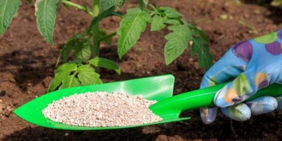 باستثناء النترات المخصوص، انخفاض أسعار الأسمدة اليوم في الأسواق