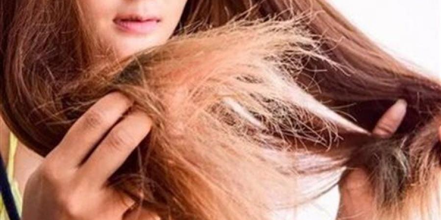 زيت طبيعي للعناية بالشعر وتقليل مظهر التقصف