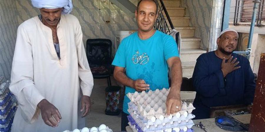 انخفاض جديد في أسعار البيض اليوم السبت بقنا والطبق يسجل 60 جنيها