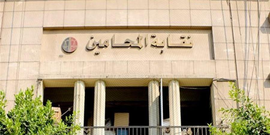 المحامين تحيل أشرف نبيل وهايدي الفضالي للتحقيق بسبب منشور الوظائف والسجال مع القضاة