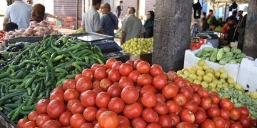 "المجنونة تواصل الارتفاع".. أسعار الطماطم تصل لـ 50 جنيهًا رسميًا.. نقيب الفلاحين يوضح أسباب الارتفاعات ويكشف توقعاته للفترة المقبلة