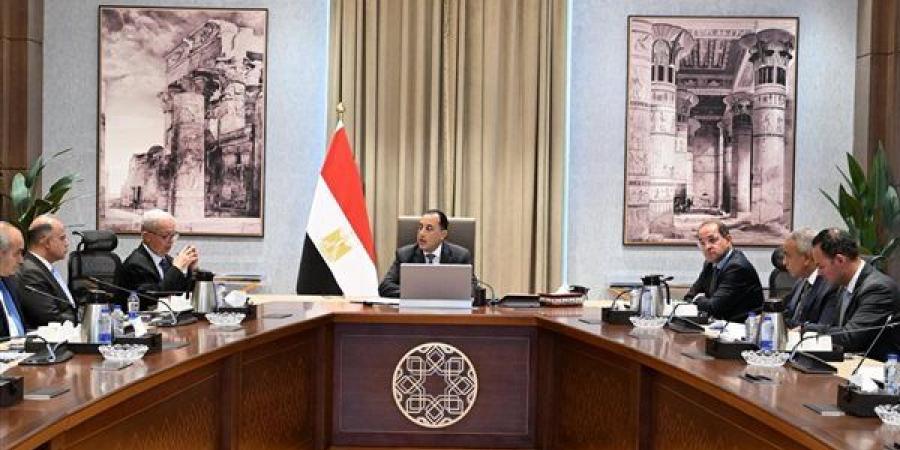الطروحات الحكومية مستمرة.. شركات الدولة تحت خطة إعادة الهيكلة والتطوير