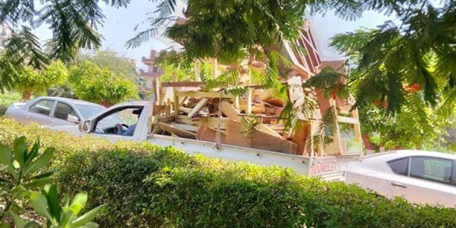 بعد أزمة "جلابية المدير"، تقليم الأشجار وتنظيف محيط مدرسة برقطا بكفر شكر (فيديو)
