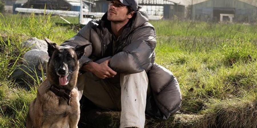 "The Dog Stars" يواصل حصد الانتقادات السلبية ويكتفي بـ 19 مليون دولار بشباك التذاكر العالمي