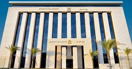 تعرف على تشكيل المجلس الأعلى لتنمية مهارات الموارد البشرية بالقانون
